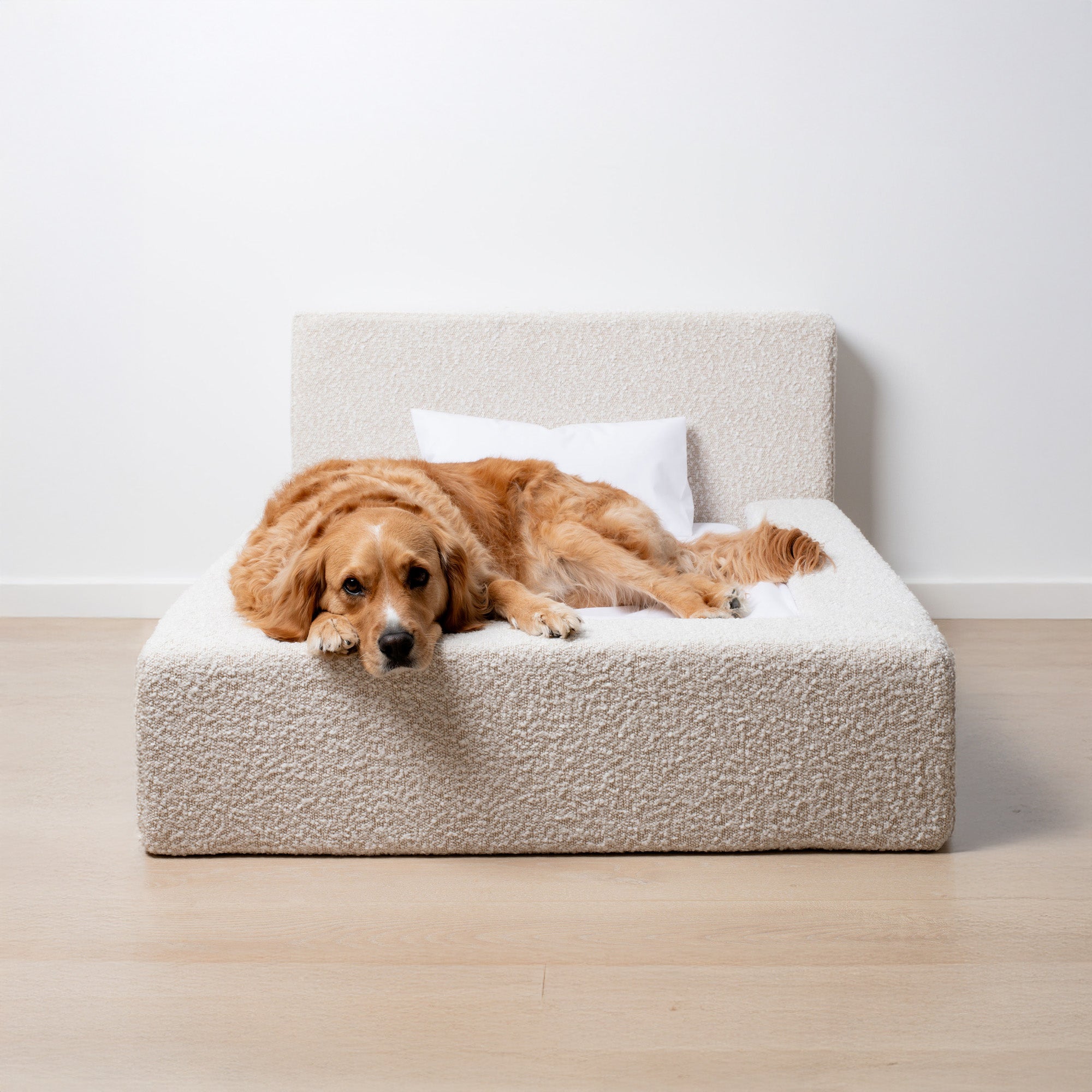 A large, plush dog bed made of memory foam, with a dog lying on it in a relaxed position.