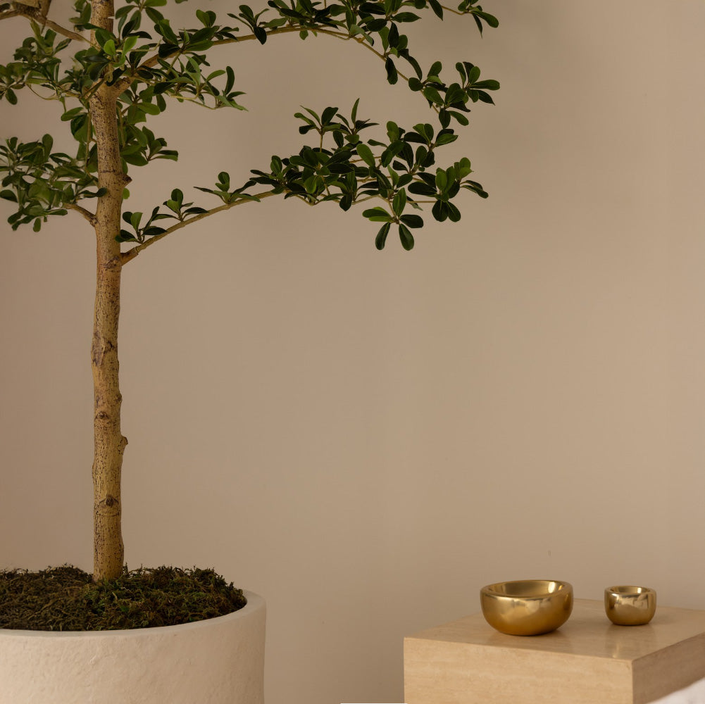 210cm Artificial Shady Lady Olive Tree