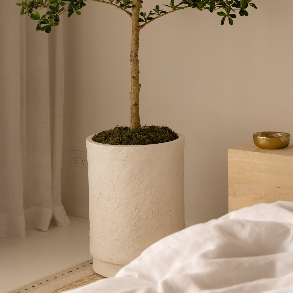 210cm Artificial Shady Lady Olive Tree