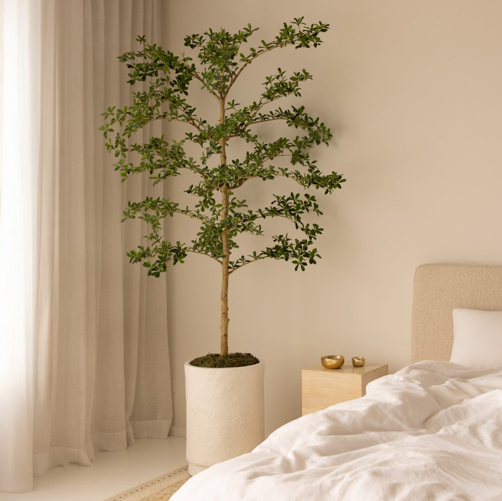 210cm Artificial Shady Lady Olive Tree