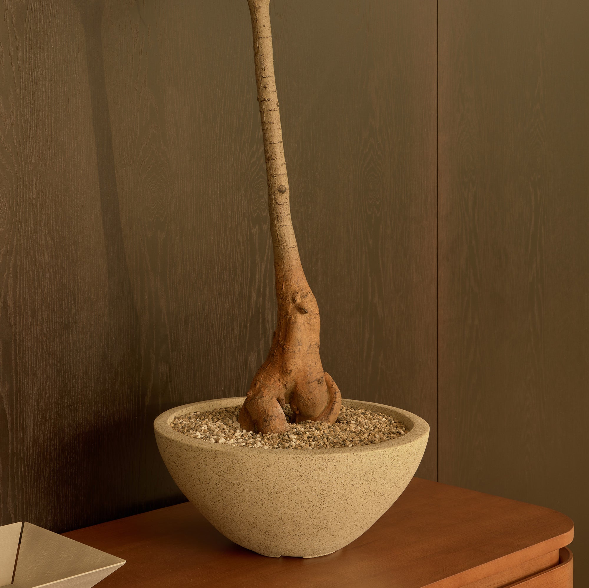 120cm Artificial Queensland Bottle Tree