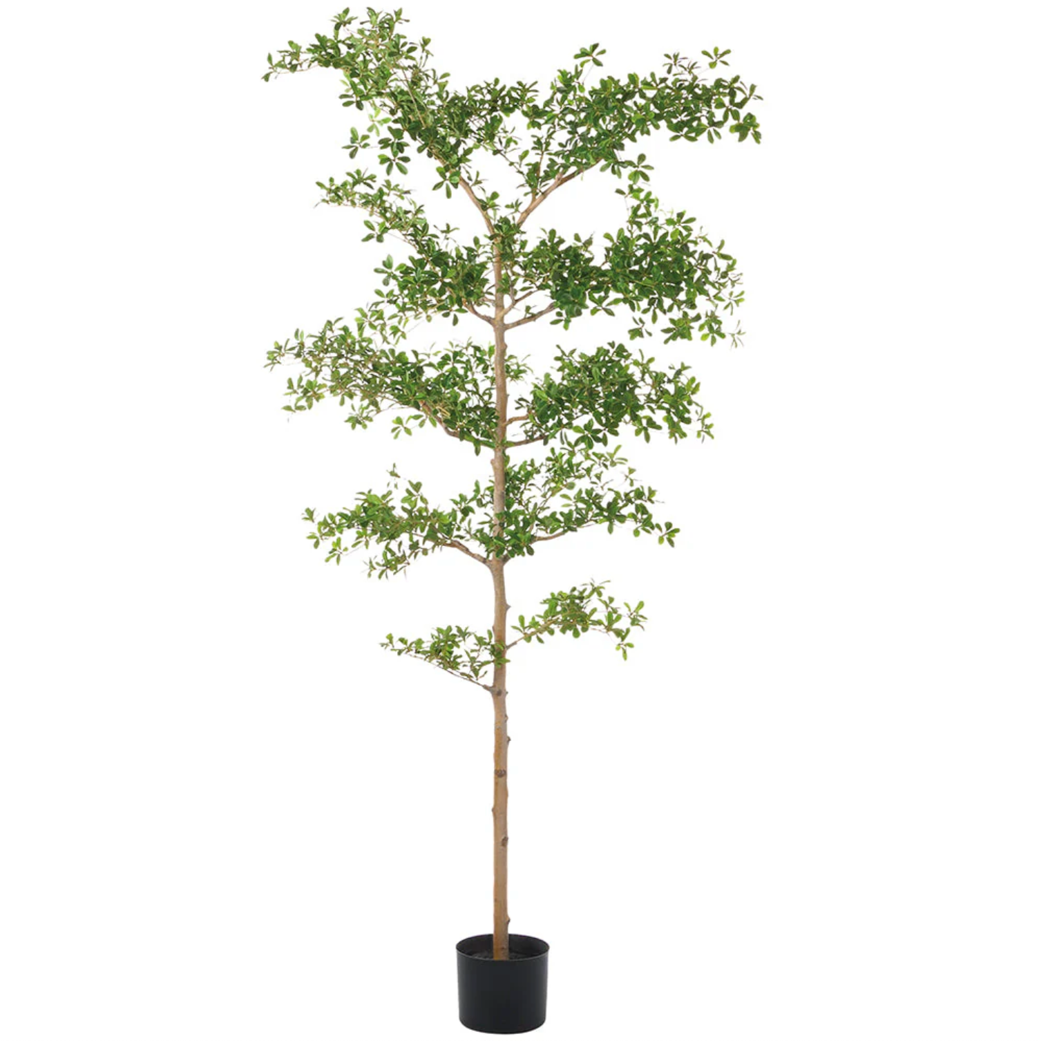 210cm Artificial Shady Lady Olive Tree