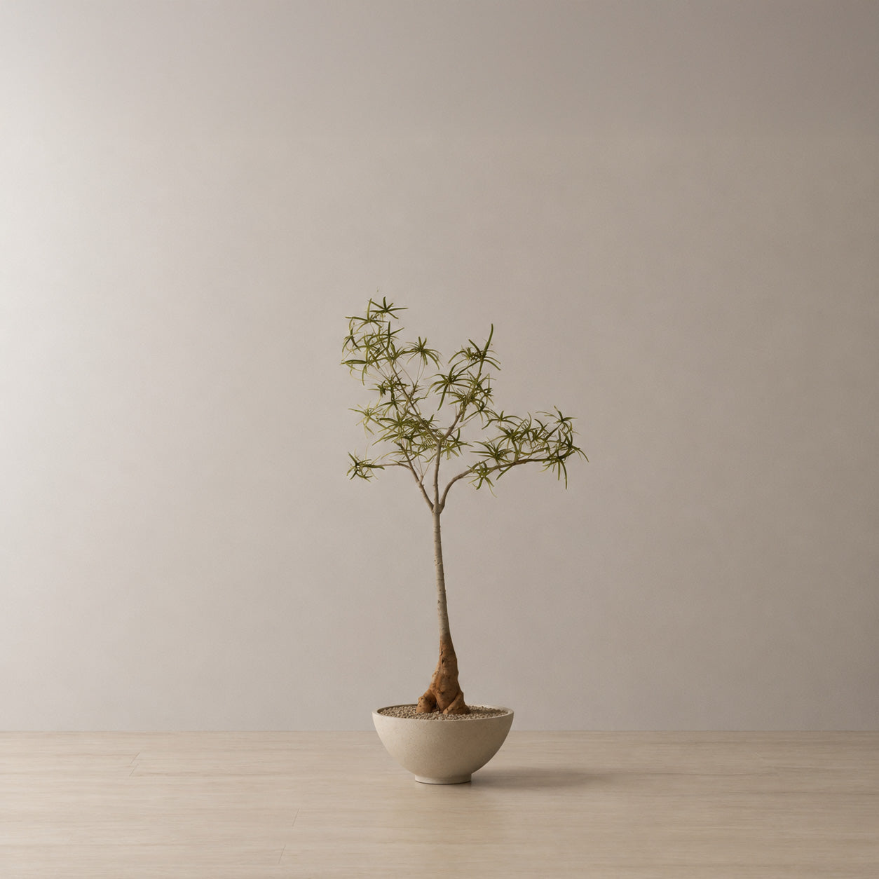 120cm Artificial Queensland Bottle Tree