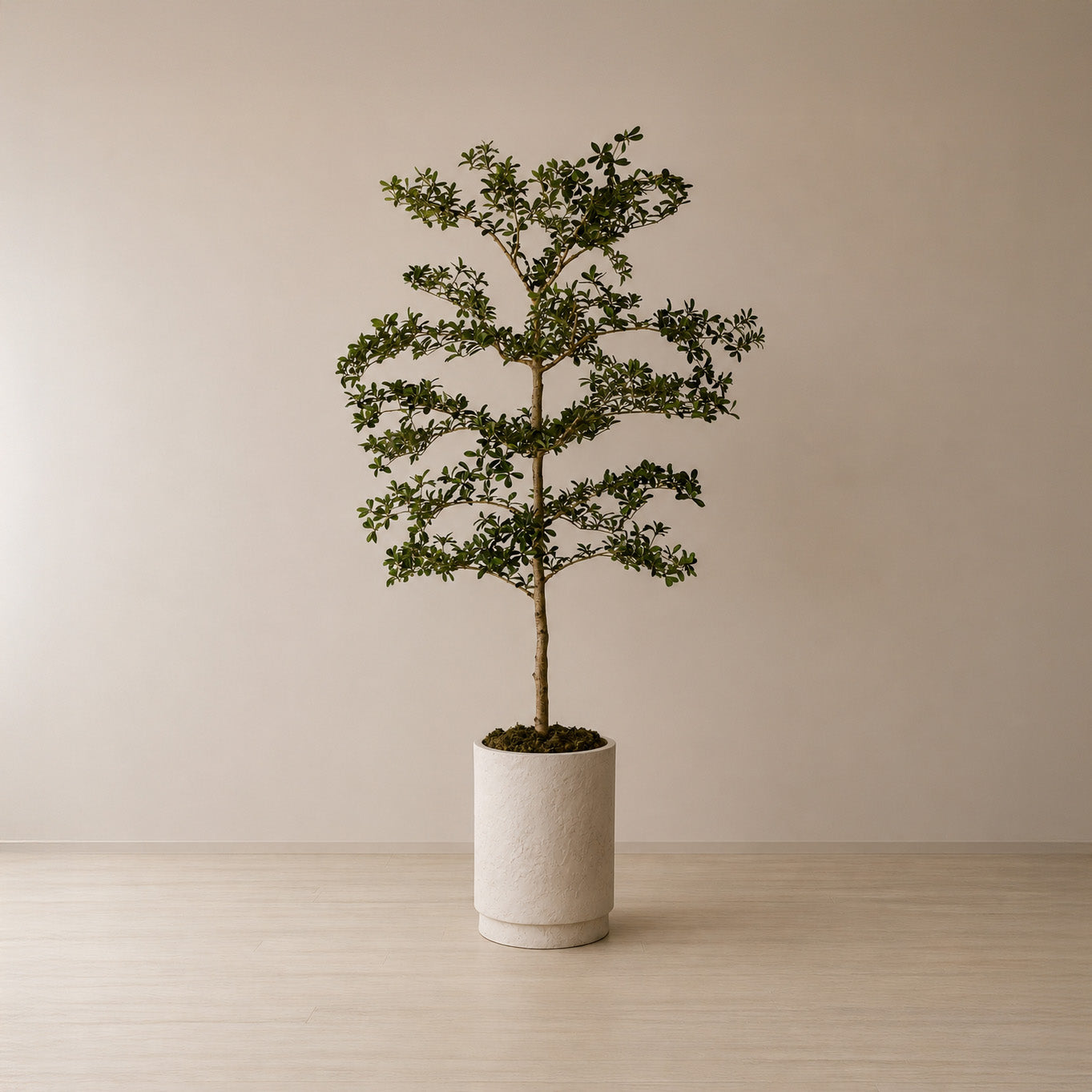 210cm Artificial Shady Lady Olive Tree