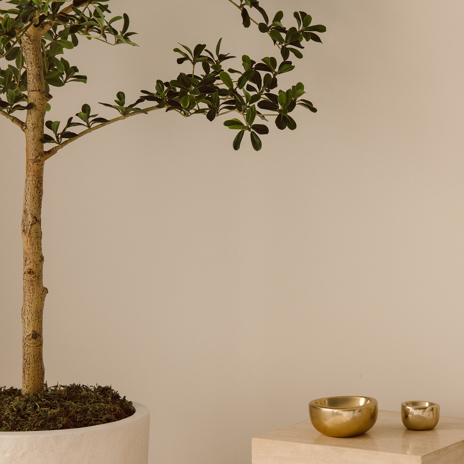 210cm Artificial Shady Lady Olive Tree