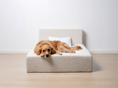 DOG BED