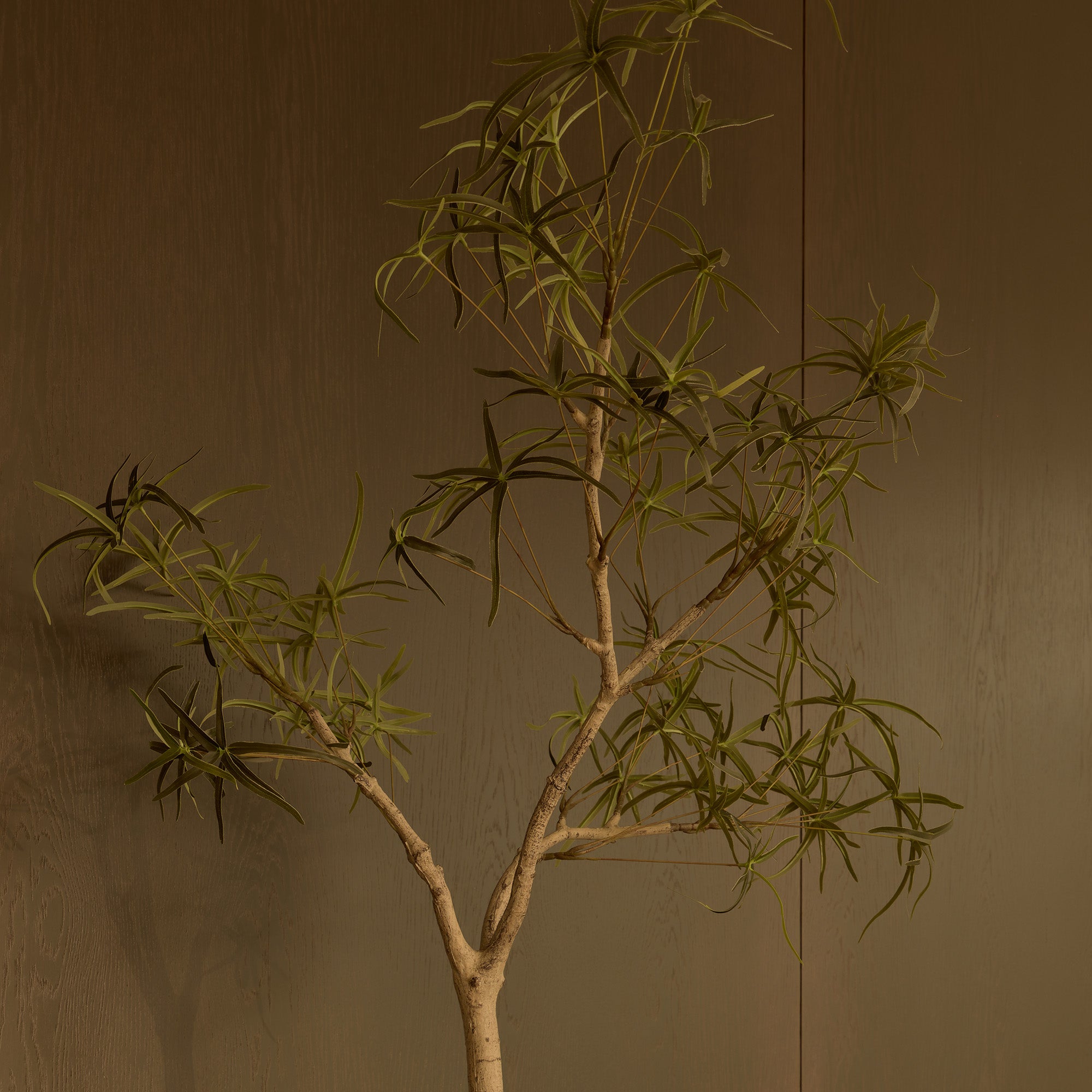 120cm Artificial Queensland Bottle Tree