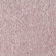 Strawberry Cream, Teddy