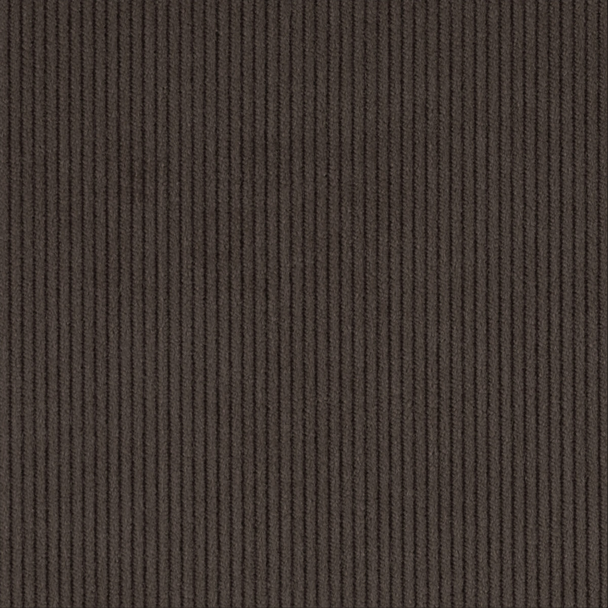 Truffle, Corduroy