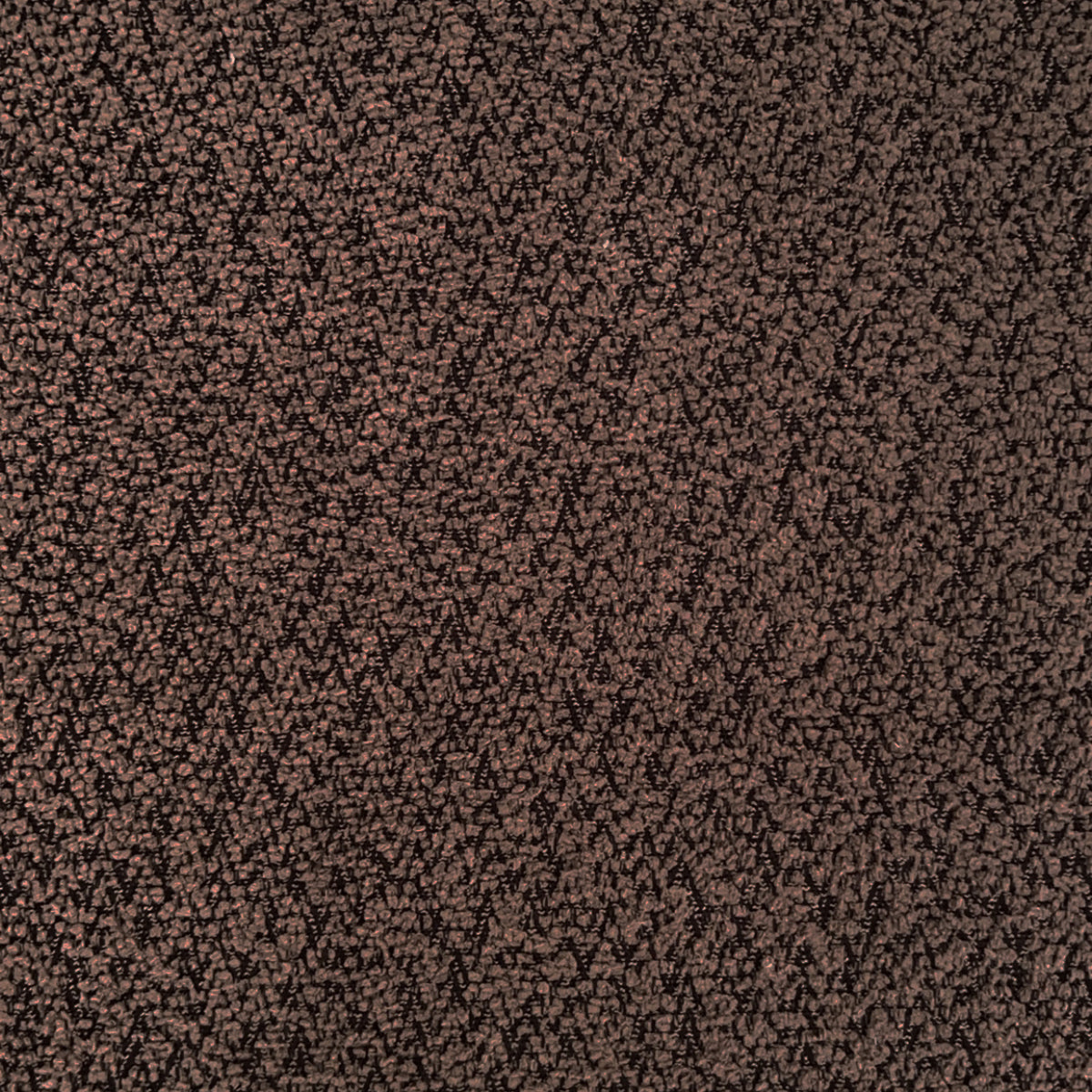 Teddy, Chocolate