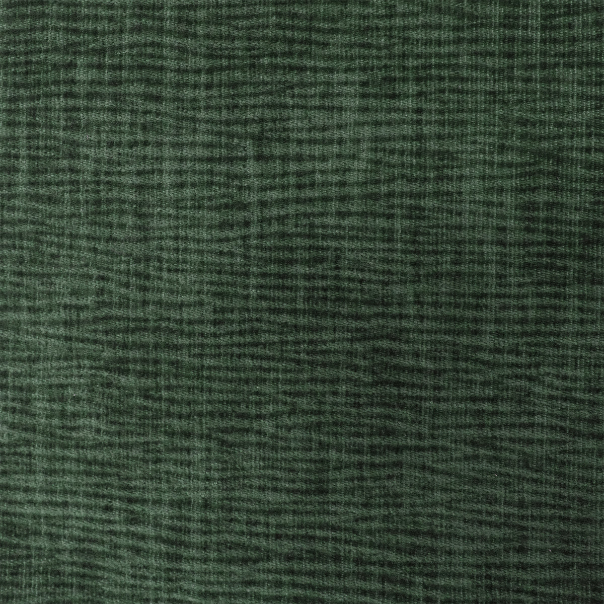 Forest Green, Textured Chenille