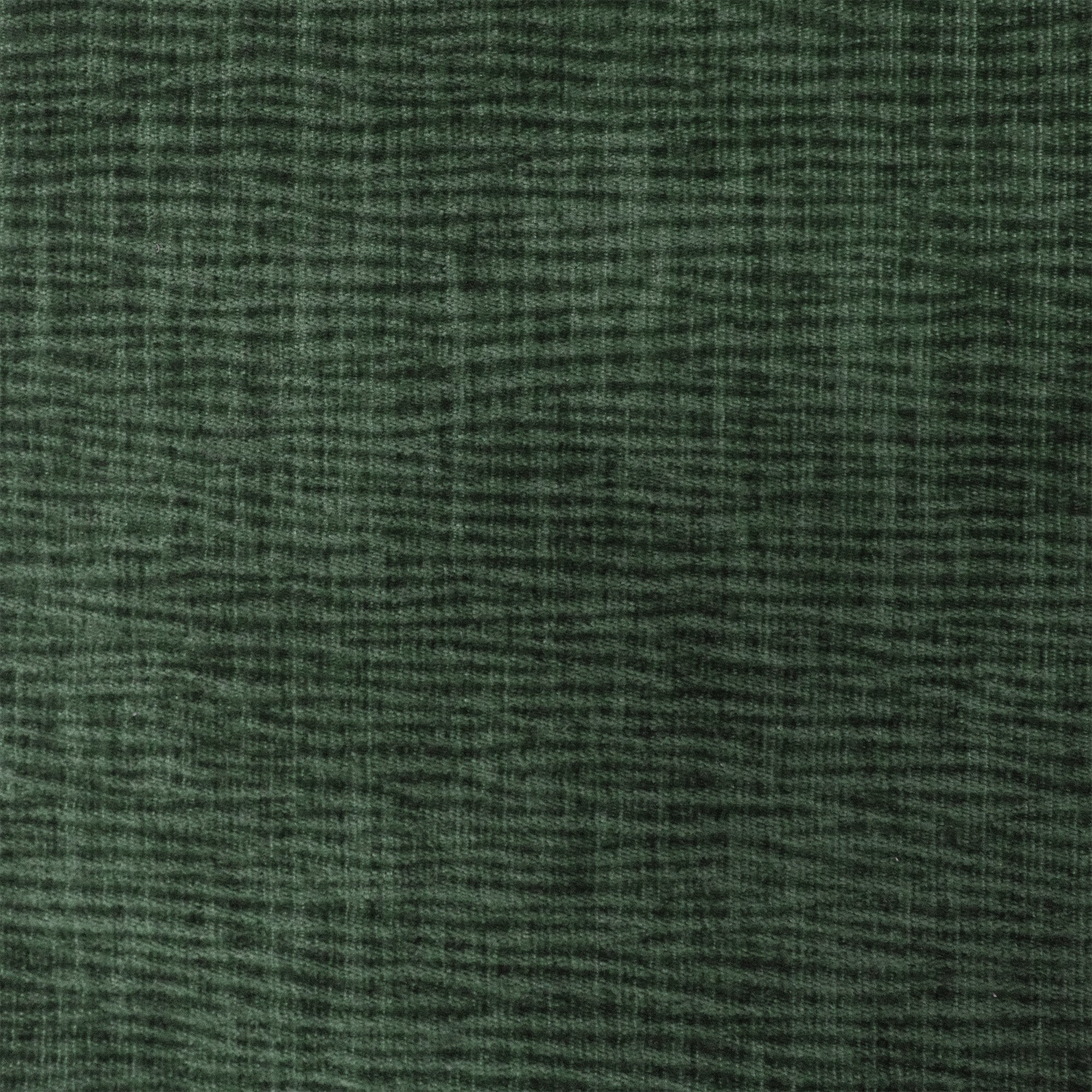 Textured Chenille - Forest Green