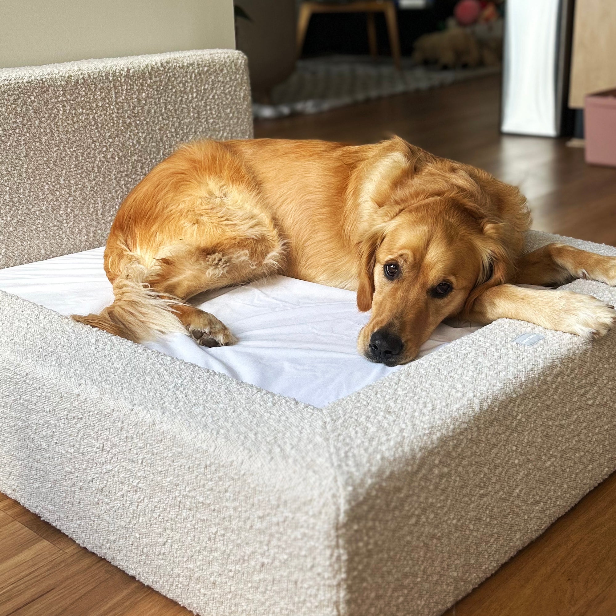 MARSHMALLOW DOG BED - LARGE