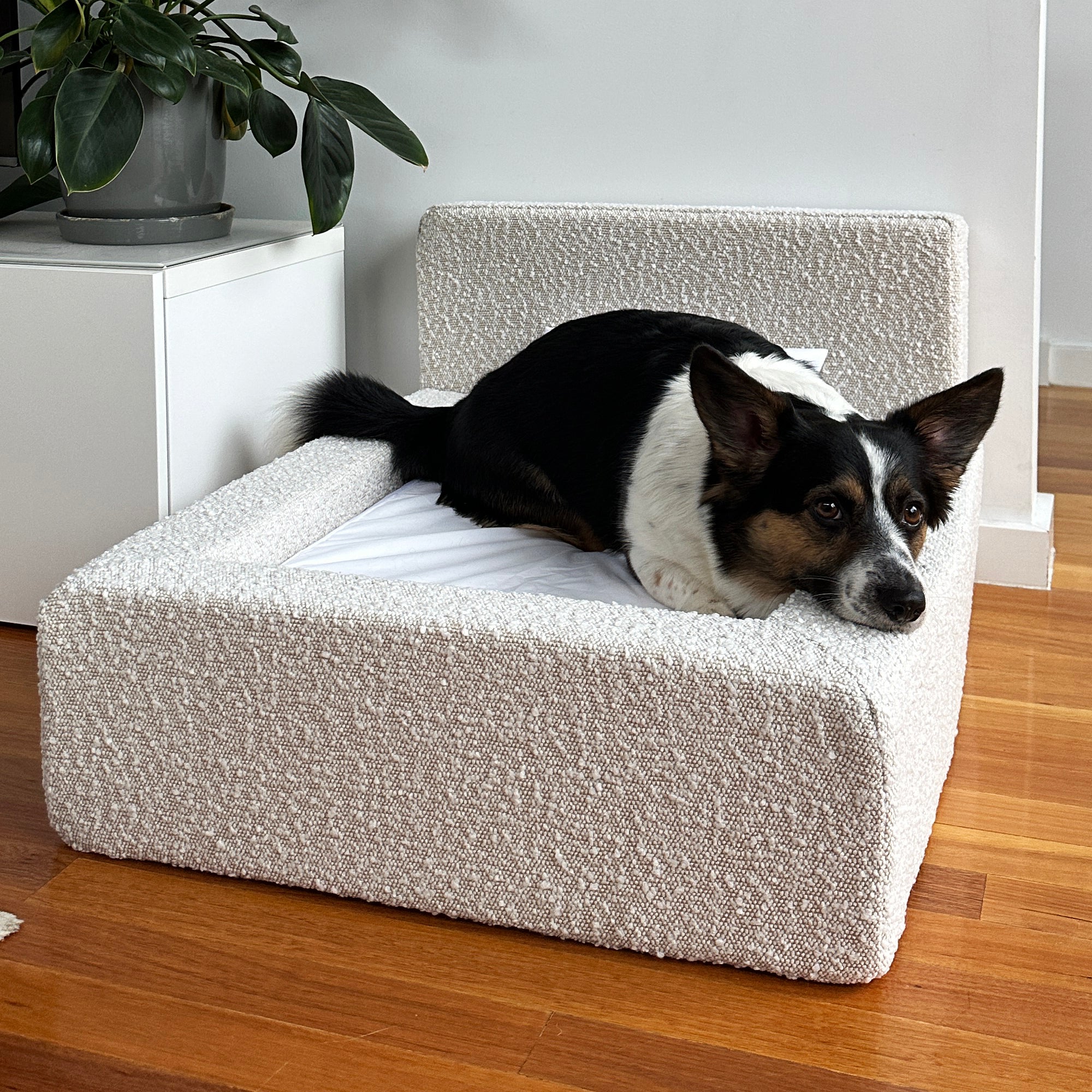 MARSHMALLOW DOG BED - MEDIUM