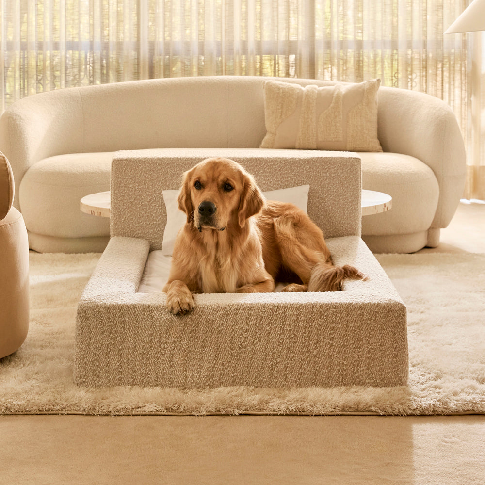 Marshmallow Dog Bed - Large In Boucle, Cream - Ineshi