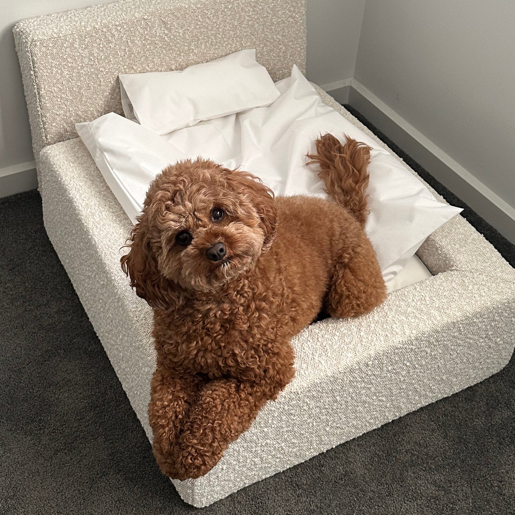 MARSHMALLOW DOG BED - MEDIUM