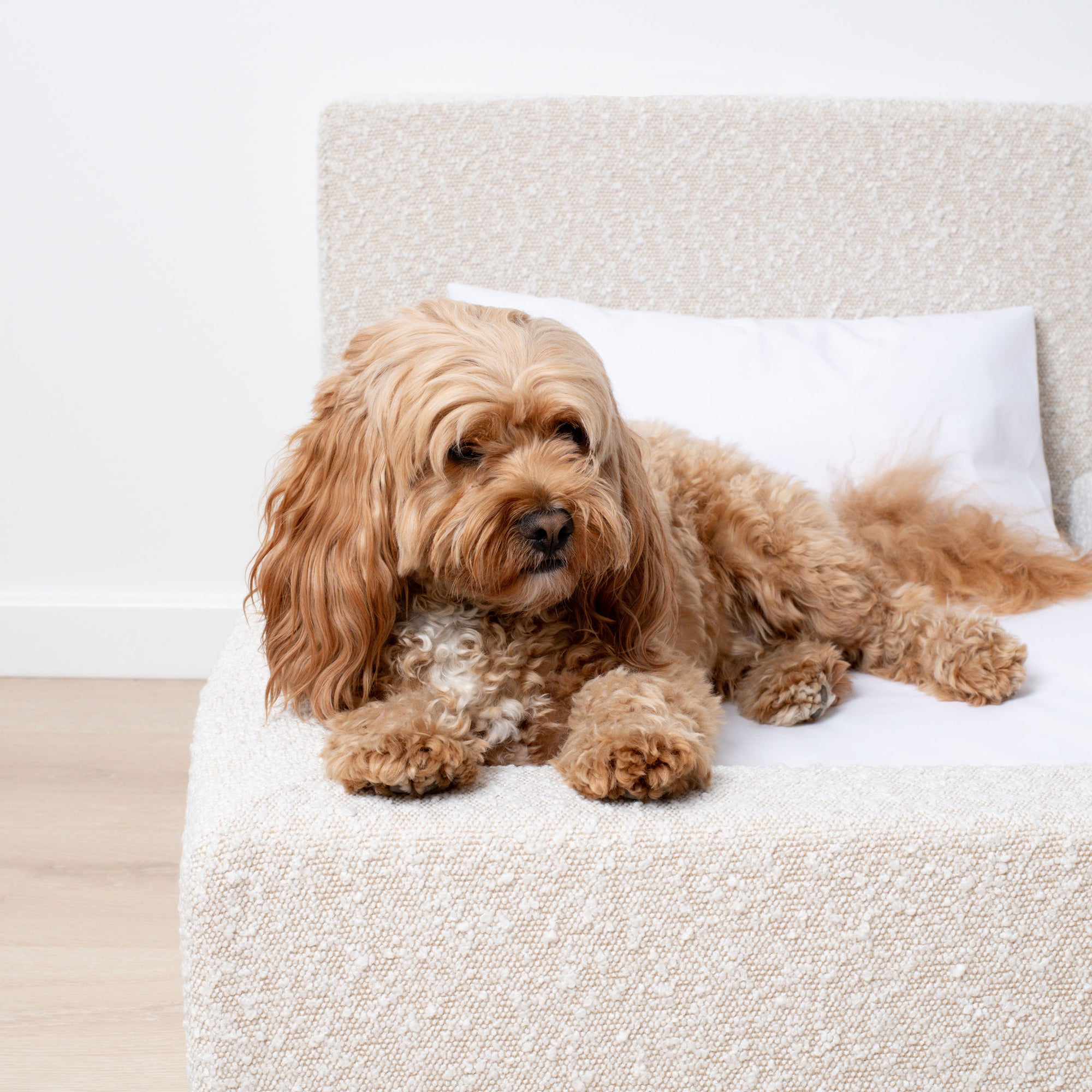 MARSHMALLOW DOG BED - MEDIUM