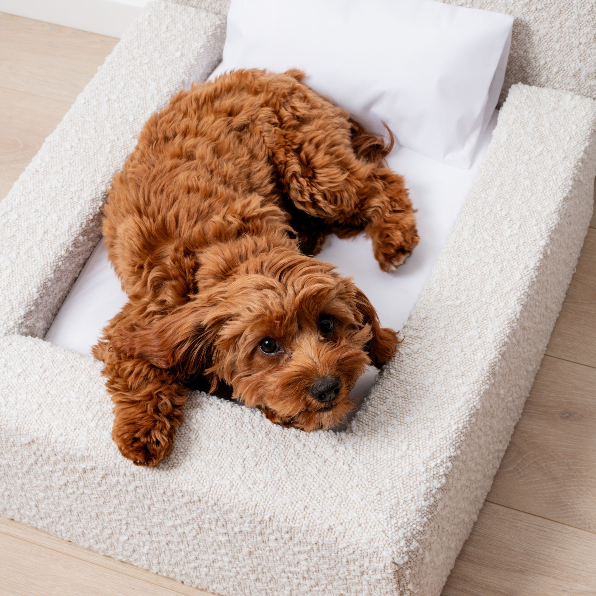 MARSHMALLOW DOG BED - SMALL